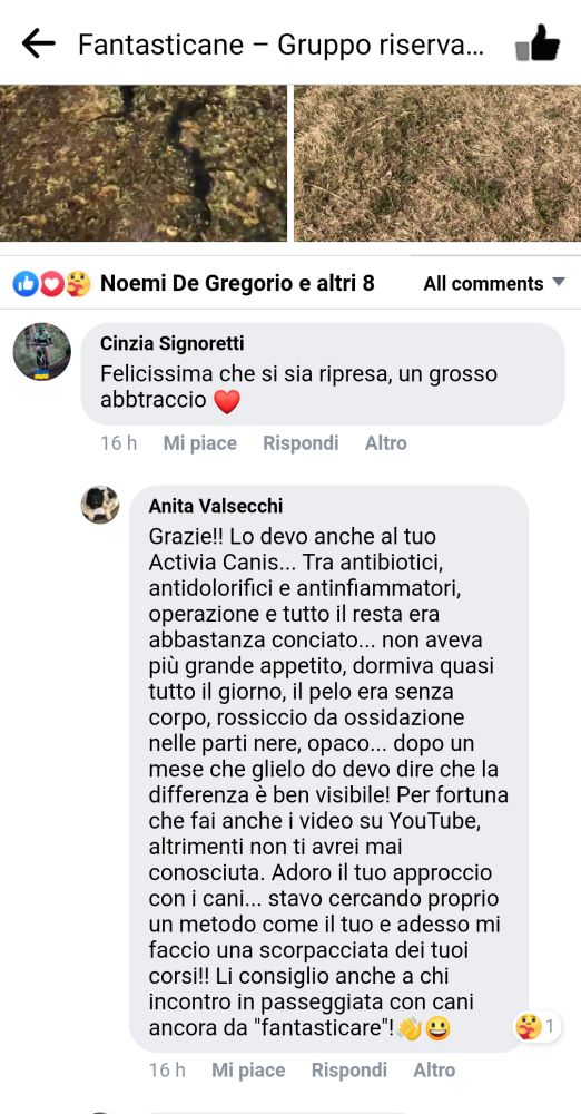 Anita-Valsecchi-test.-Parte-due-super.jpg