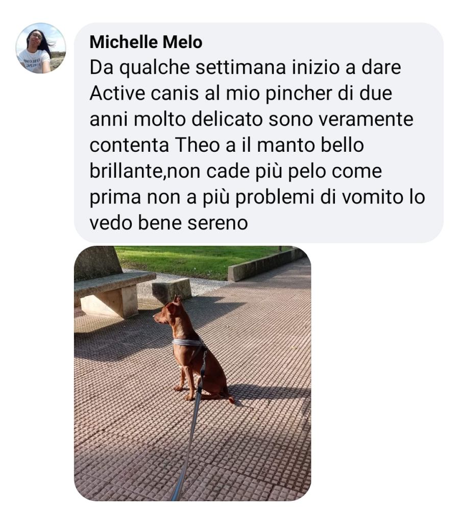 Michele-Mello-pincher-vomito.jpeg