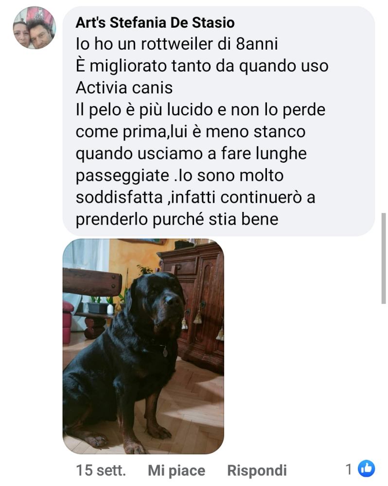 Stefania-de-Stasio-rottweiler.jpeg